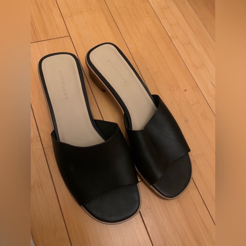 Everlane low heel black sandals